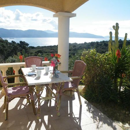 Villa Liamone Studio Fuer 3 Personen , 400 M Vom Strand, Pool, Klimaanlage Sagone  Ngoại thất bức ảnh